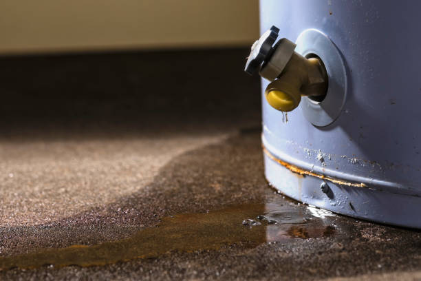 Best Mold removal after water damage  in Dry Ridge, OH