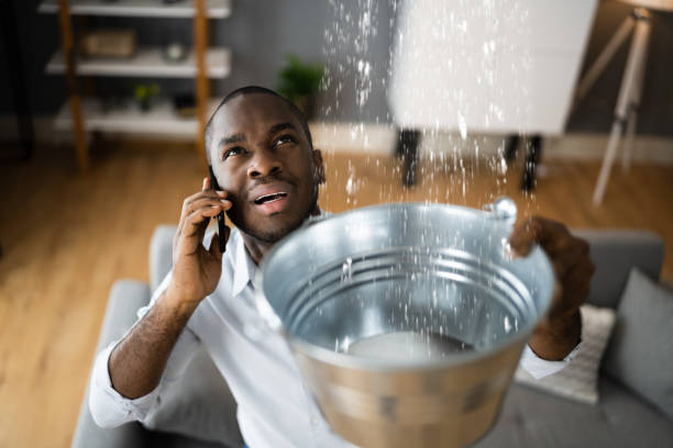 Best Ceiling water damage repair  in Dry Ridge, OH