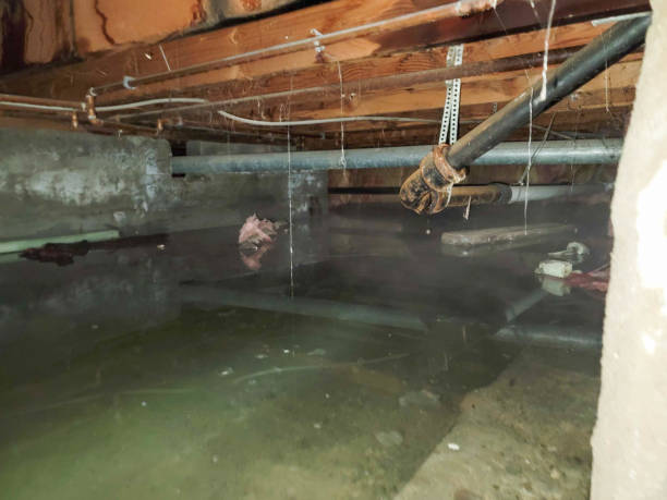 Best Residential water damage restoration  in Dry Ridge, OH