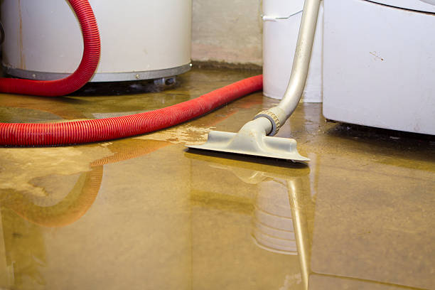 Best Ceiling water damage repair  in Dry Ridge, OH